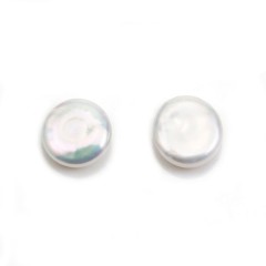 Silvery white flat round freshwater cultured pearls 11mm x 2pcs