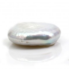 White silvery freshwater cultured pearl 20mm, flat round shape x 1pc