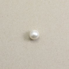 Freshwater cultured pearl, white, in round shape, 13-13.5mm x 1pc
