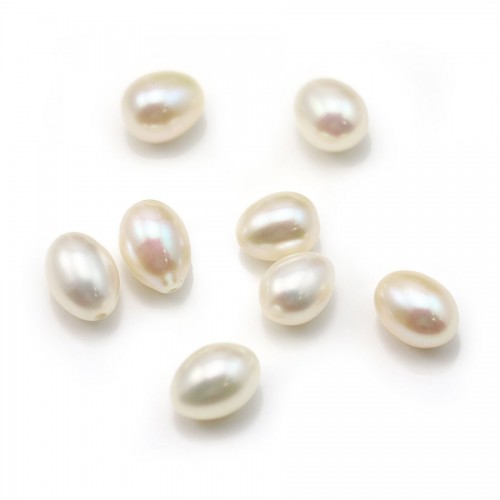 Perle de culture d'eau douce, semi-percée, blanche, ovale, 8mm x 1pc