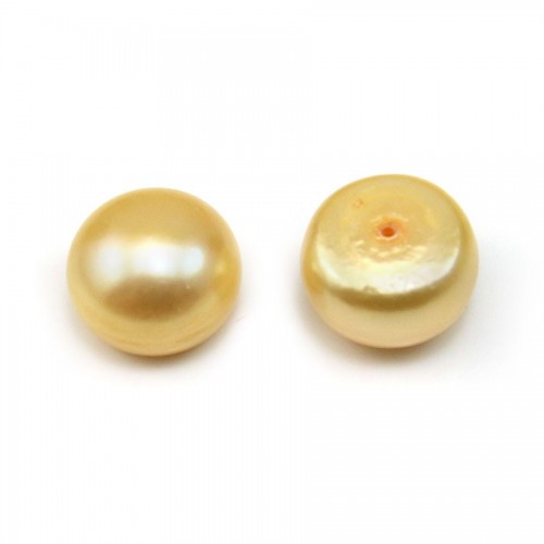 Yellow half-drilled flattened round freshwater cultured pearl of 12mm x 2pcs