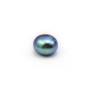 Perle de culture d'eau douce, semi-percée, bleue foncée, bouton, 5-05.5mm x 6pcs