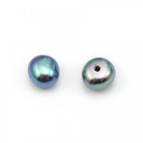 Perle de culture d'eau douce, semi-percée, bleue foncée, bouton, 5-05.5mm x 6pcs