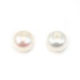 Semi-perforated Pearl freshwater white round plat 5-5.2mm x 2pcs