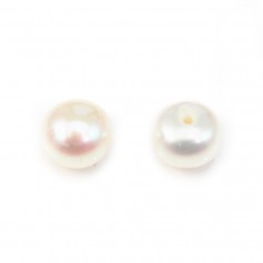 Perles de culture d'eau douce, semi-percée, blanche, bouton, 5-5.5mm x 4pcs