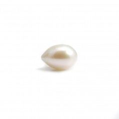 Perla di coltura d'acqua dolce, semiperforata, bianca, oliva 10-11 mm x 1 pz