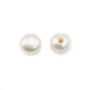 Semi-perforated Pearl freshwater white round plat 3.5mm x 2pcs