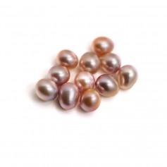 Perla cultivada de agua dulce, semiperforada, púrpura, ovalada, 7-7.5mm x 1pc