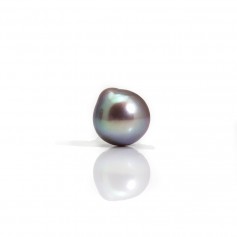 Freshwater cultured pearl, half drilled, purple color, pear shape, 9.5-10mm x 1pc
