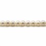 Perlas cultivadas de agua dulce, blancas, redondas, 5mm x 40cm