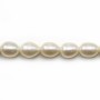 Perles d'eau douce blanches ovale 7x9-8x10mm x 40cm