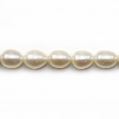 White Freshwater cultured Pearl, olive shape 8-9mm x 39cm