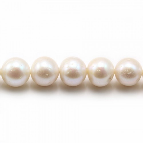 Perles de culture d'eau douce, blanche, ronde, 12-13mm x 40cm AA