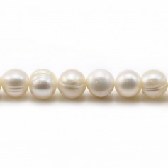 Perles de culture d'eau douce, blanche, ronde/irrégulière, 7-9mm x 35cm