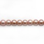 Perles de culture d'eau douce, mauve, semi-ronde 7-8mm x 40cm