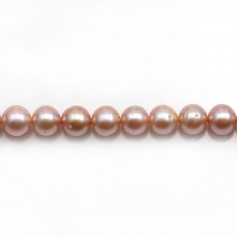 Perle coltivate d'acqua dolce, malva, rotonde, 7-8 mm x 40 cm