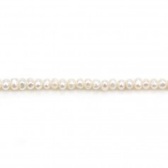 Perle coltivate d'acqua dolce, bianche, ovali/irregolari, 2-3 mm x 36 cm