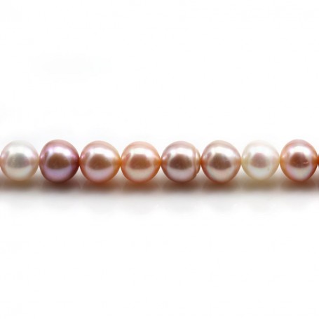 Perles de culture d'eau douce multicolore 8-8.5mm x 40cm