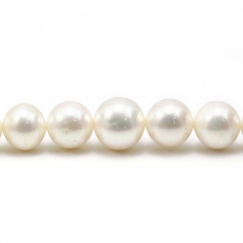 Perle d'eau douce blanche, de forme ronde, et de taille 13-15mm x 40cm