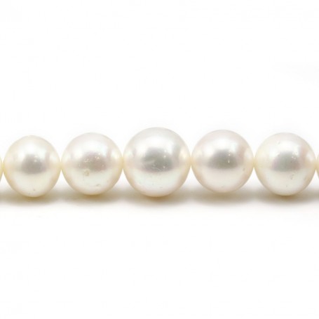 Perle d'eau douce blanche, de forme ronde, et de taille 13-15mm x 40cm
