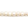 White freshwater cultured pearls on thread 6-7mm x 36cm