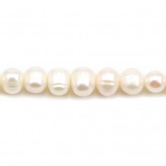 Perlas cultivadas de agua dulce, blancas, ovaladas/irregulares, 6-6,5mm x 37cm
