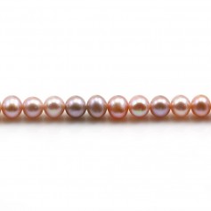Purple freshwater cultured pearls 5-5.5mm x 40cm