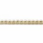 White freshwater pearls 4mm x 40cm