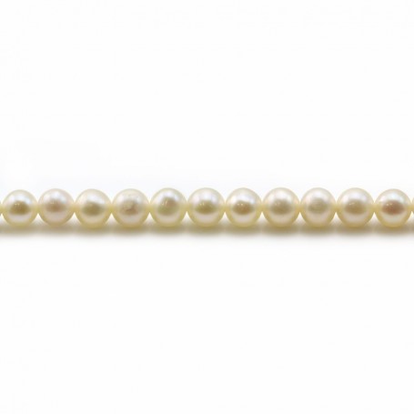 White freshwater pearls 4mm x 40cm
