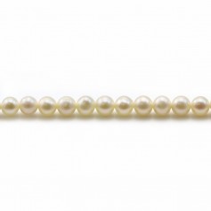 White freshwater cultured pearls 4mm x 40cm