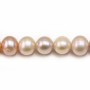 Perlas cultivadas de agua dulce, multicolor, redondas, 9,5-10,5mm x 40cm A
