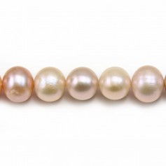 Multicolor round freshwater cultured pearl 9.5-10.5mm A x 40cm