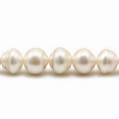 Freshwater cultured pearls, white, baroque hooped, 11-13mm x 40cm