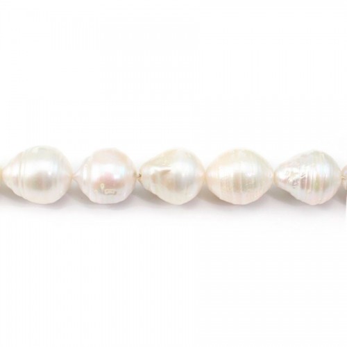 white freshwater pearl 15-16mm AAA X 40cm
