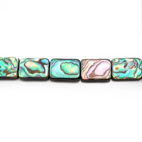 Abalone shell RECTANGLE 13x18mmX 40cm 