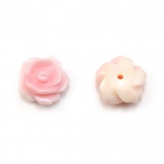 Lambi pink flower, half pierced 10mm x 1pc