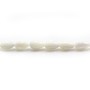 String of white shell Teardrop 5x8mm x 40 cm 