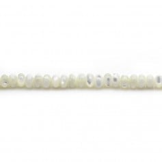 Redondo branco madrepérola sobre fio 2,5x4mm x 40cm