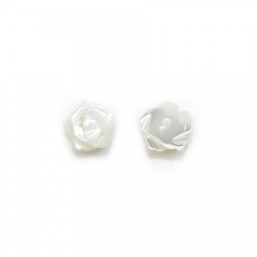 White mother-of-pearl half drilled Rose 6mm x 2pcs