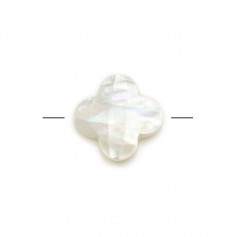 Nacre blanche en forme de trèfle facetté 12mm x 1pc