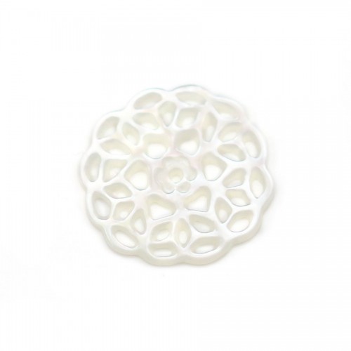 Perlmutt in weißer Farbe, blütenförmig, Größe 14mm x 1pc