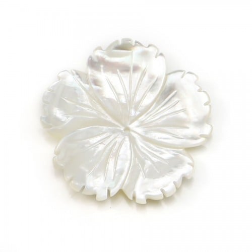 White mother-of-pearl flower shape with 5 petals, 30mm x 1pc