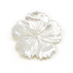 Forma de flor de nácar blanco con 5 pétalos, 30 mm x 1 unid