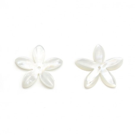 Mother-of-pearl, in white-colored, in the shape of a flower, measuring 18mm x 1pc