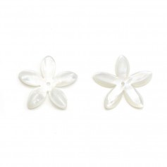 Madreperla bianca a forma di fiore 16mm x 1pc