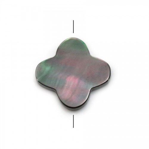 Grey shell with Clover 14.5 mm X 1pc