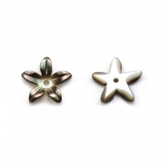 Grey mother of pearl flower shape 9.5mm x 2pcs