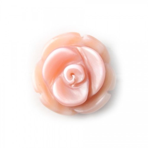 Rose Shell Flower Rose 8mm x 15pcs