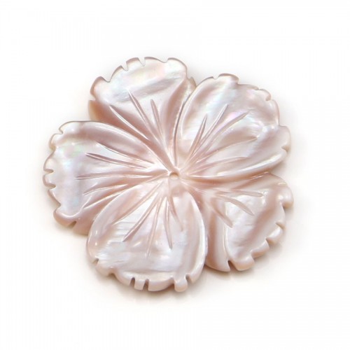 Natural shell ''Flower'' in a bag 15mm x 1pc
