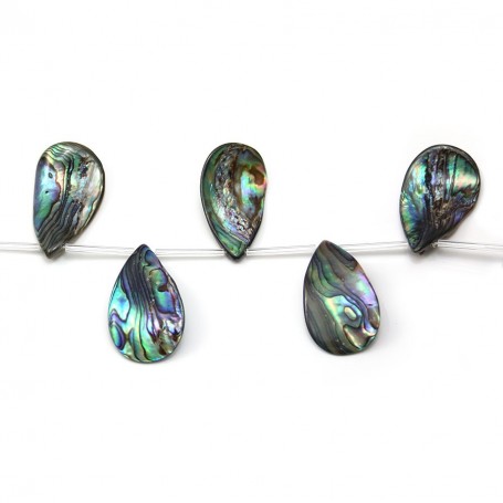 Mother-of-pearl abalone shaped various, 34-31x19-20mm x 25cm